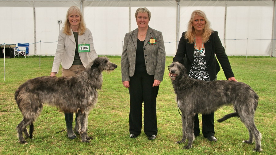 Reserve CC winners Welsh Kennel Club 2009